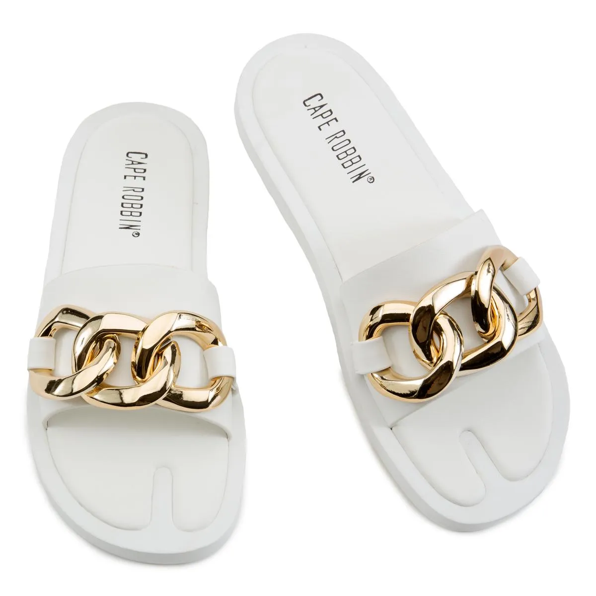Dana Slides