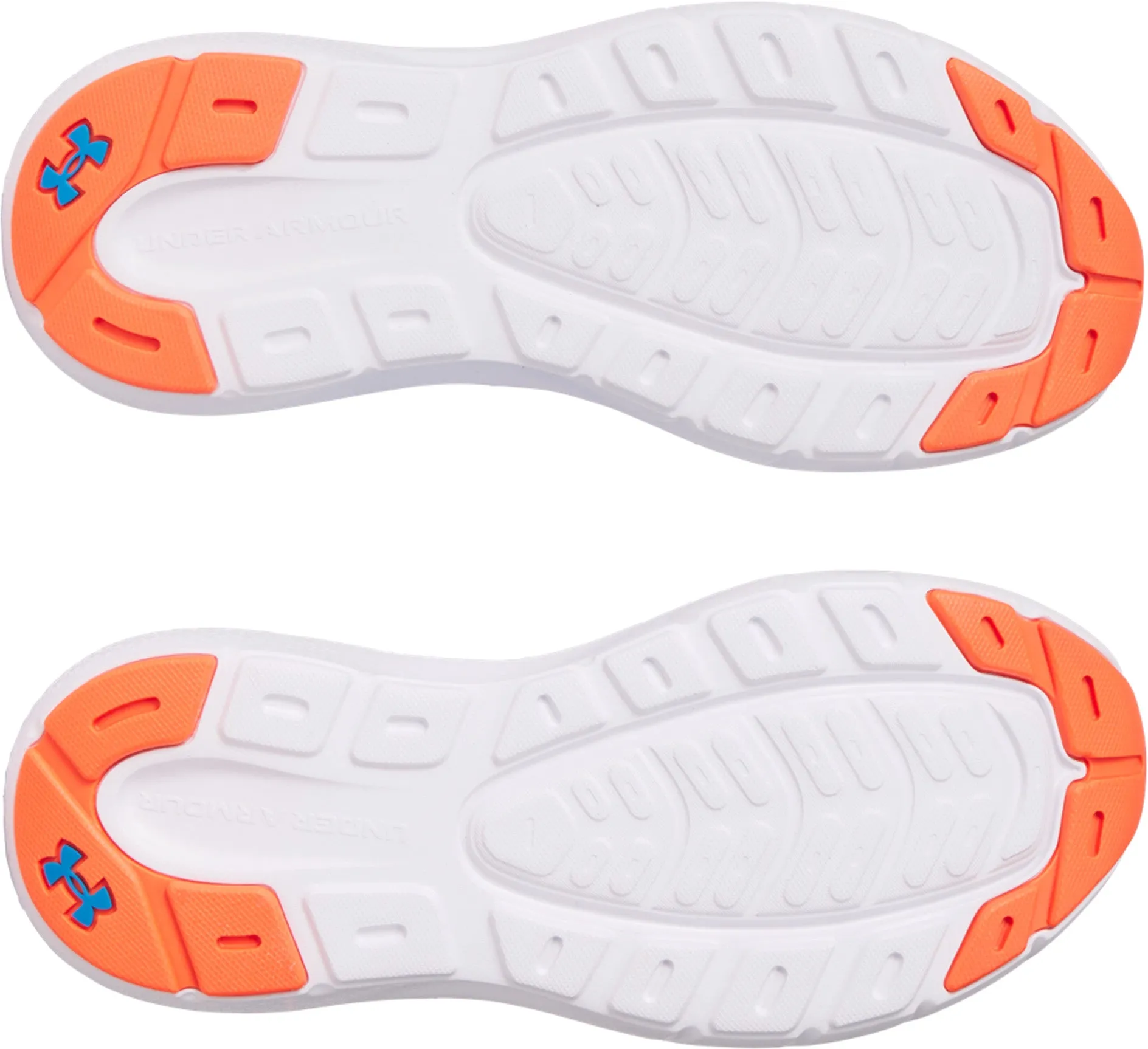 Rogue 5 sneakers