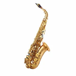 Student Alto Sax John Packer JP045G With Case