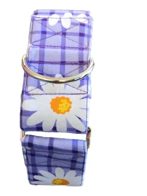 Wide Martingale collar purple daisies 50mm width